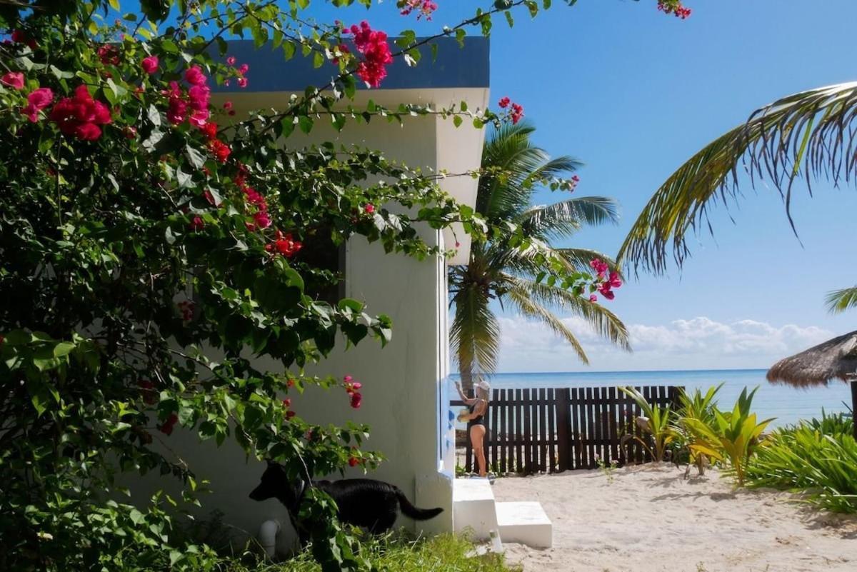 Pronoia Casa De Playa Villa Mahahual Exterior photo